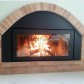 Puerta para chimenea 800x550mm