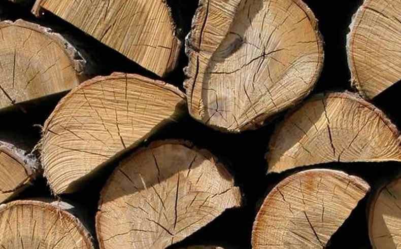 ¿Cuál es la mejor leña para una chimenea?